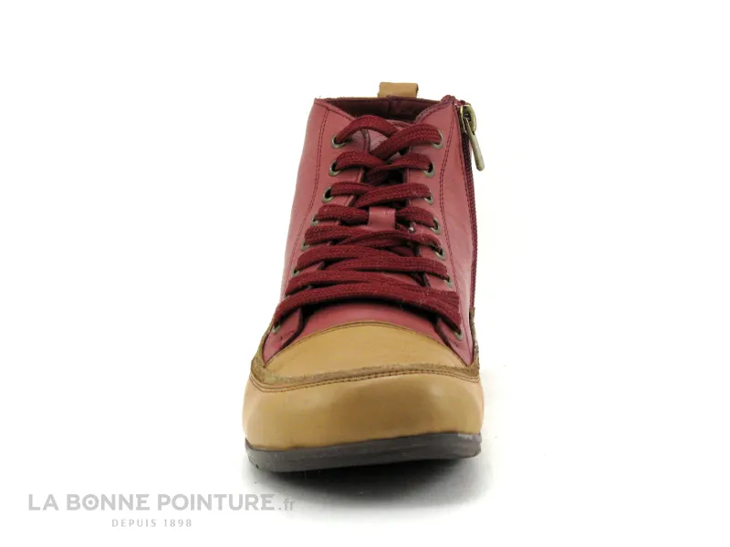 Achat chaussures Andrea Conti Femme Chaussure montante, vente Andrea Conti 0343701-646 bordo brandy - Basket montante -Semelle e